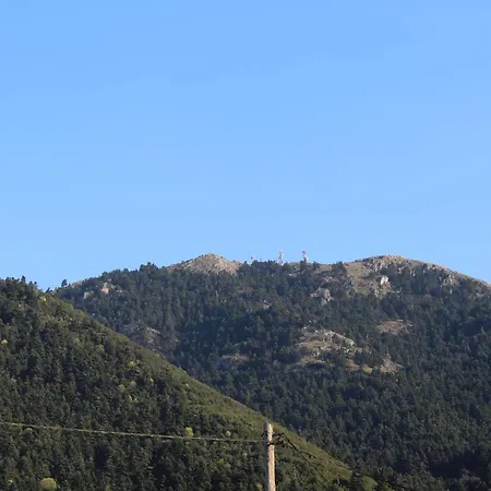 Apartamento Family's